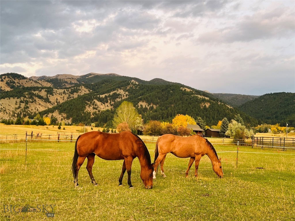 8350 Sypes Canyon Road, Bozeman MT 59715