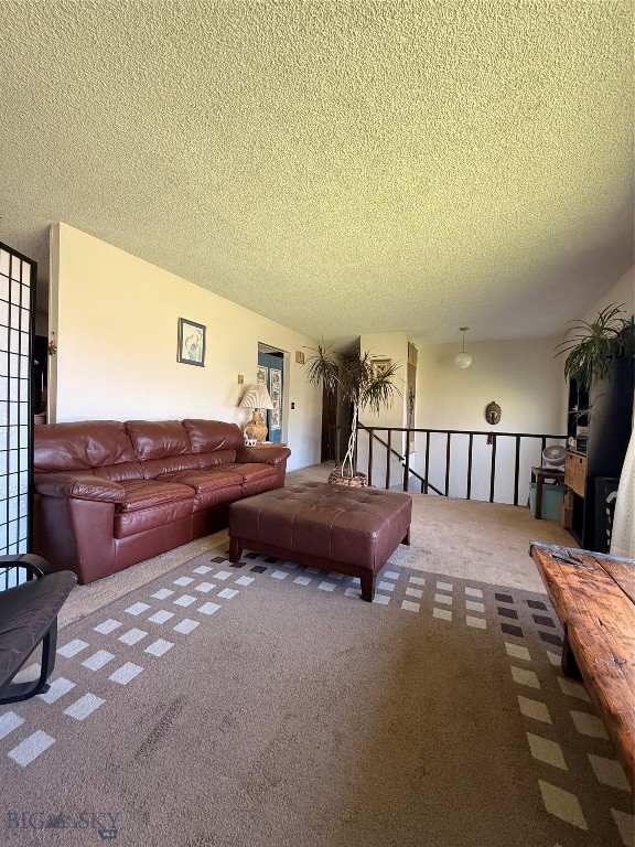 8350 Sypes Canyon Road, Bozeman MT 59715