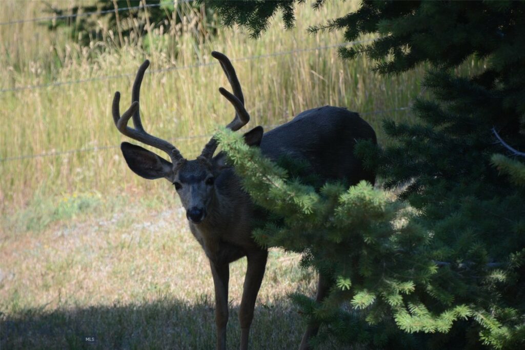 8407 Little Gully Run, Bozeman MT 59715