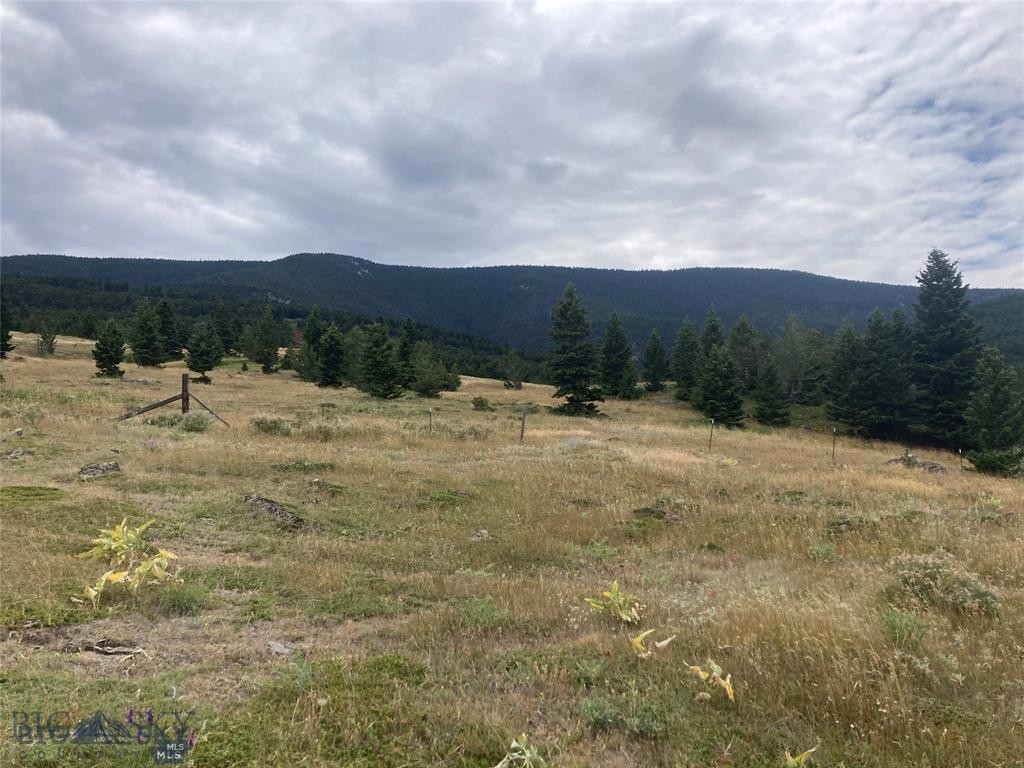 86 Pony Lane, Livingston MT 59047