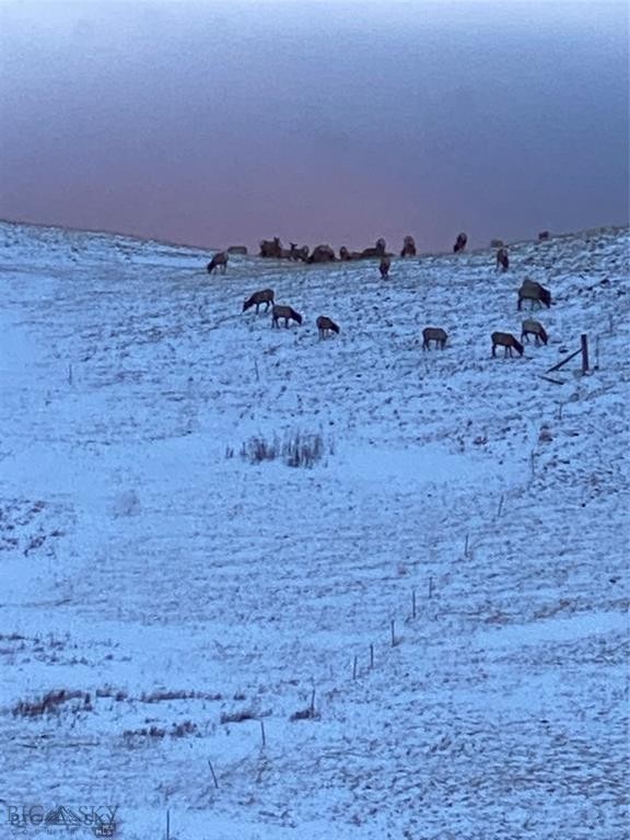 86 Pony Lane, Livingston MT 59047