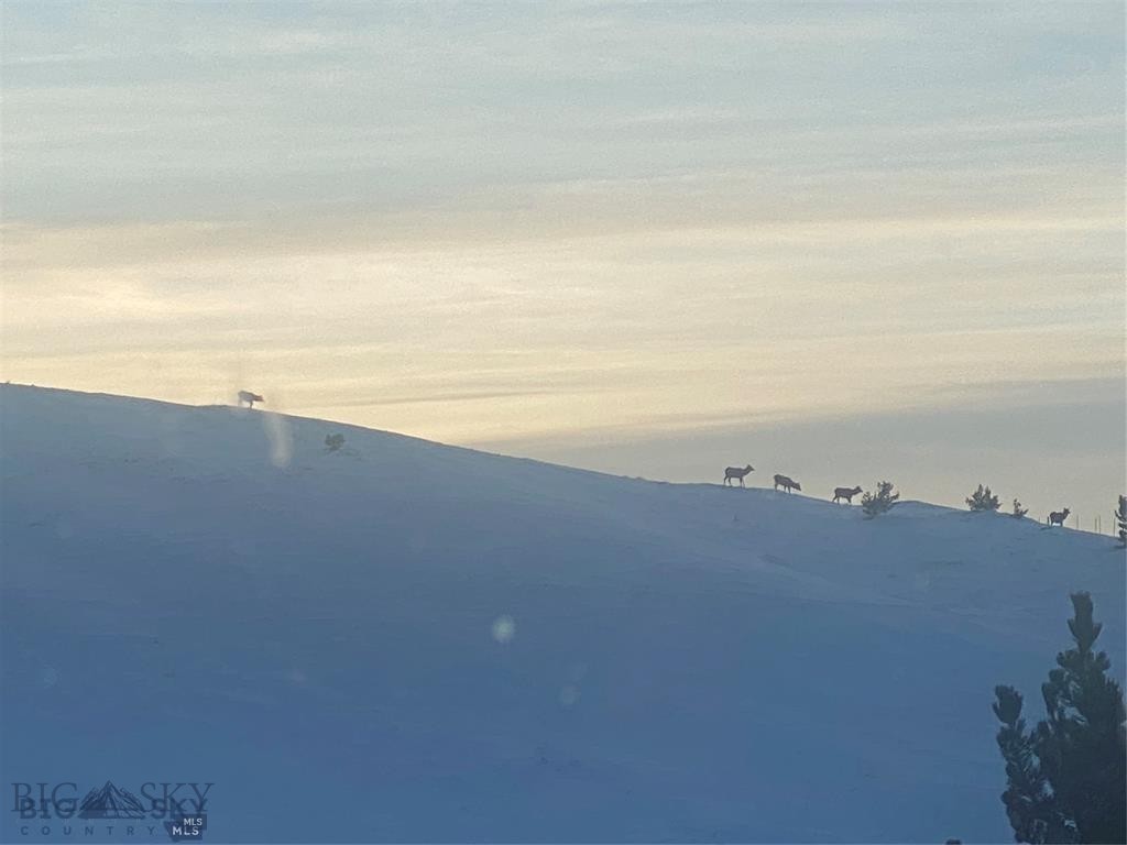 86 Pony Lane, Livingston MT 59047