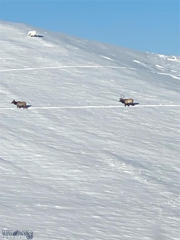 86 Pony Lane, Livingston MT 59047