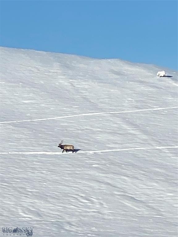 86 Pony Lane, Livingston MT 59047