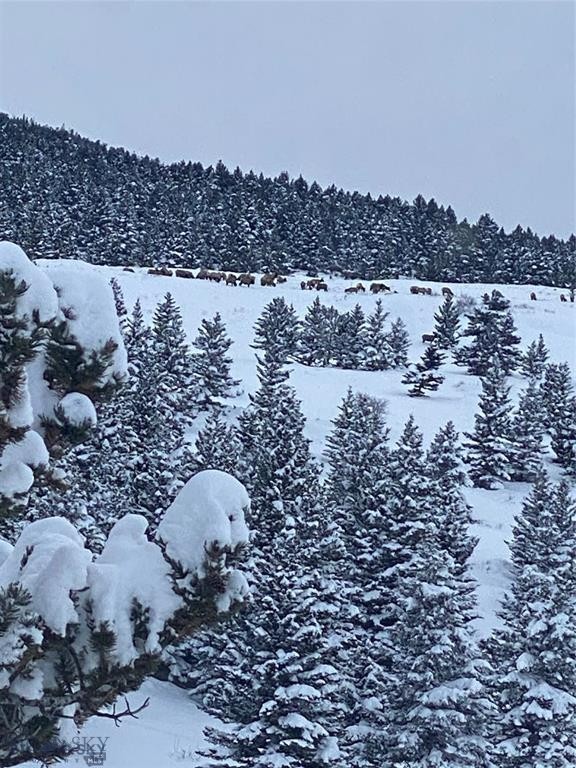 86 Pony Lane, Livingston MT 59047