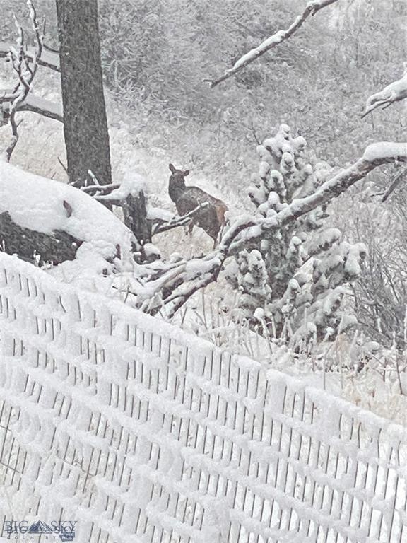 86 Pony Lane, Livingston MT 59047