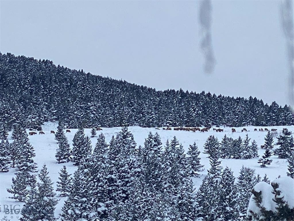 86 Pony Lane, Livingston MT 59047