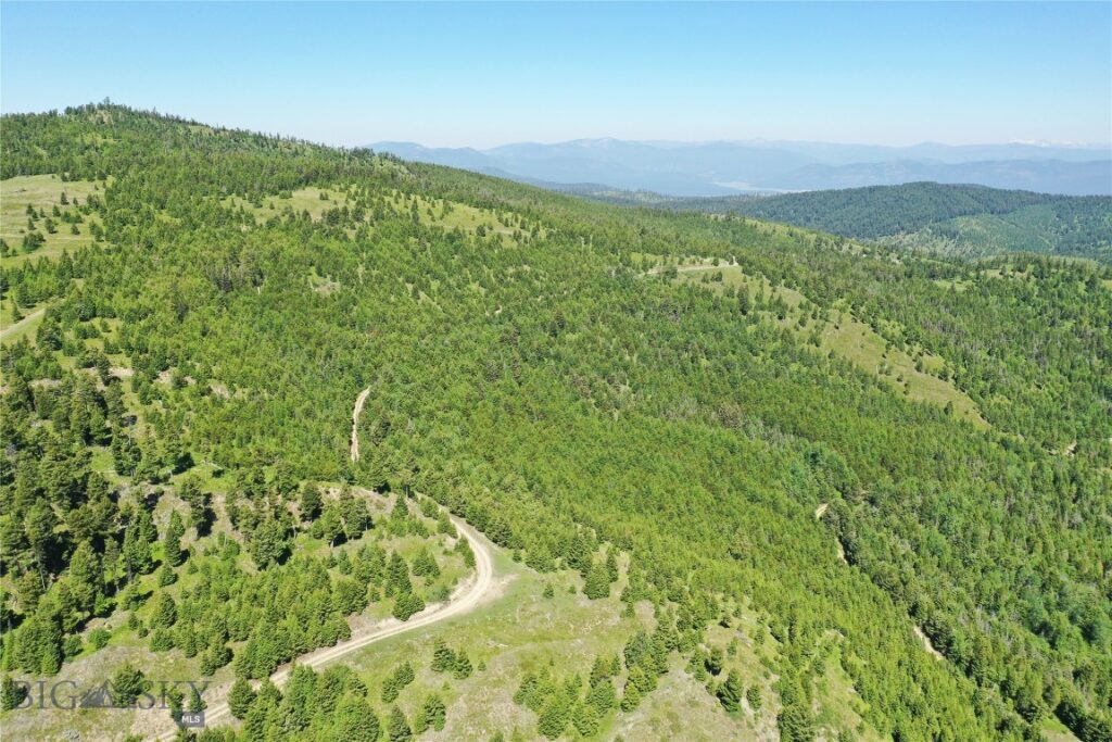 9 Tract, Garnet Range, Drummond MT 59832