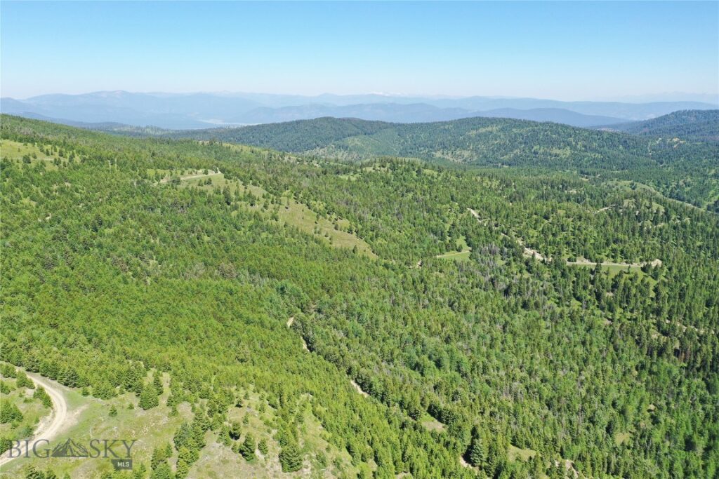 9 Tract, Garnet Range, Drummond MT 59832
