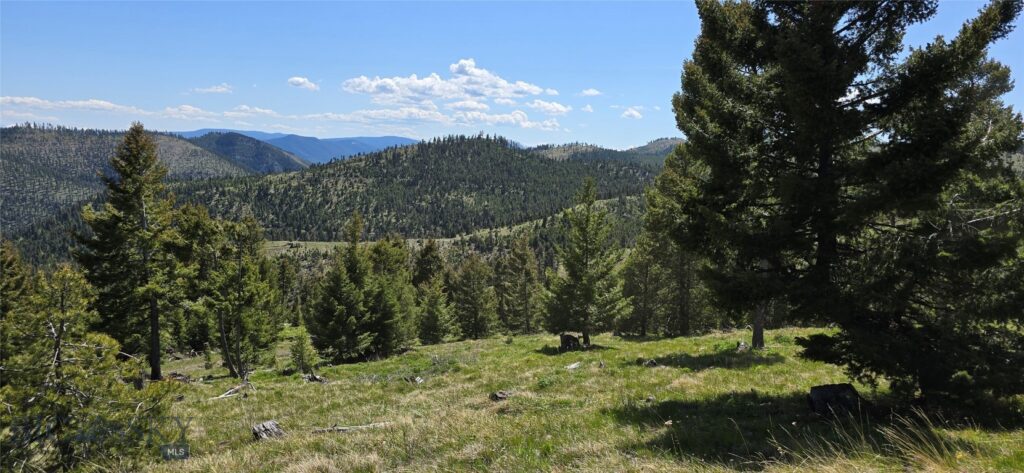 9 Tract, Garnet Range, Drummond MT 59832