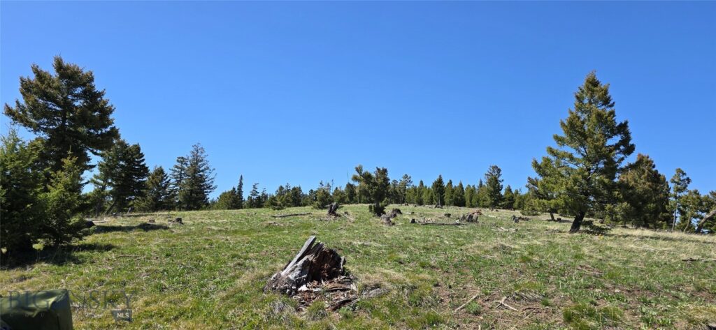 9 Tract, Garnet Range, Drummond MT 59832