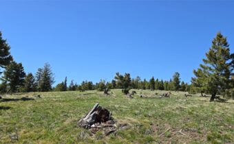 9 Tract, Garnet Range, Drummond MT 59832