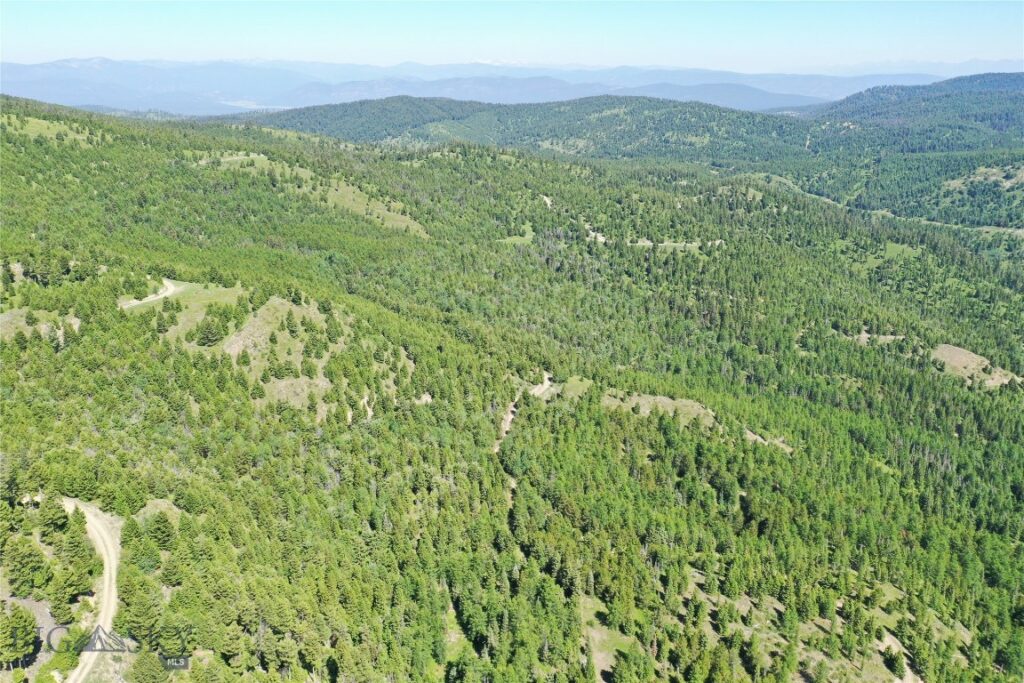 9 Tract, Garnet Range, Drummond MT 59832