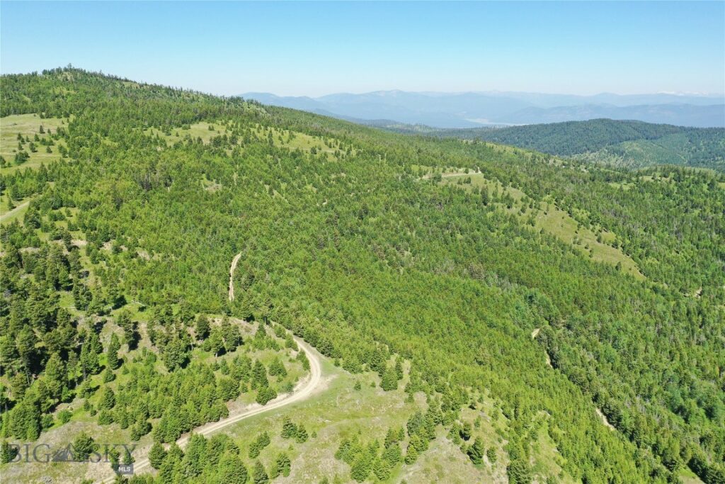 9 Tract, Garnet Range, Drummond MT 59832