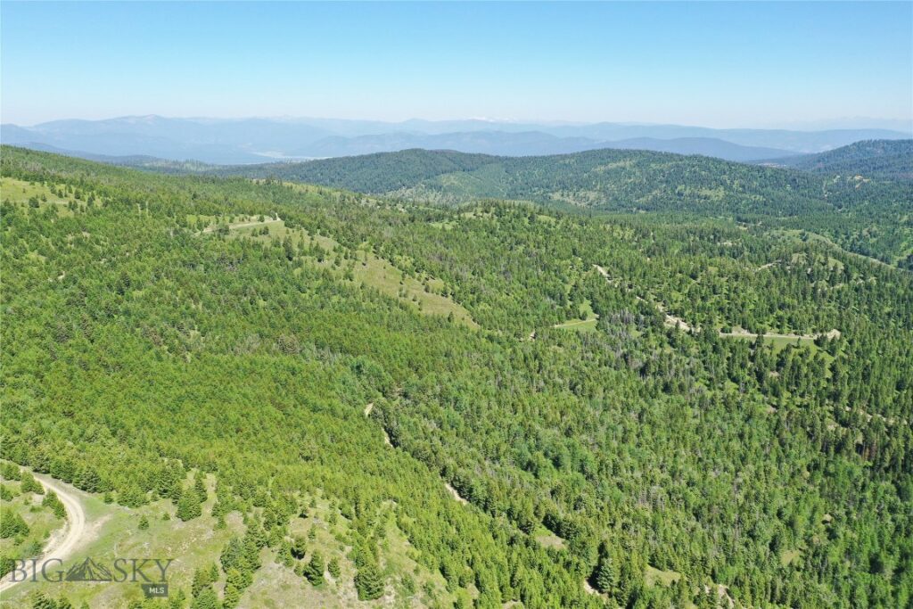 9 Tract, Garnet Range, Drummond MT 59832