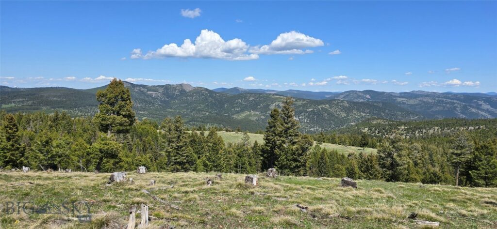 9 Tract, Garnet Range, Drummond MT 59832