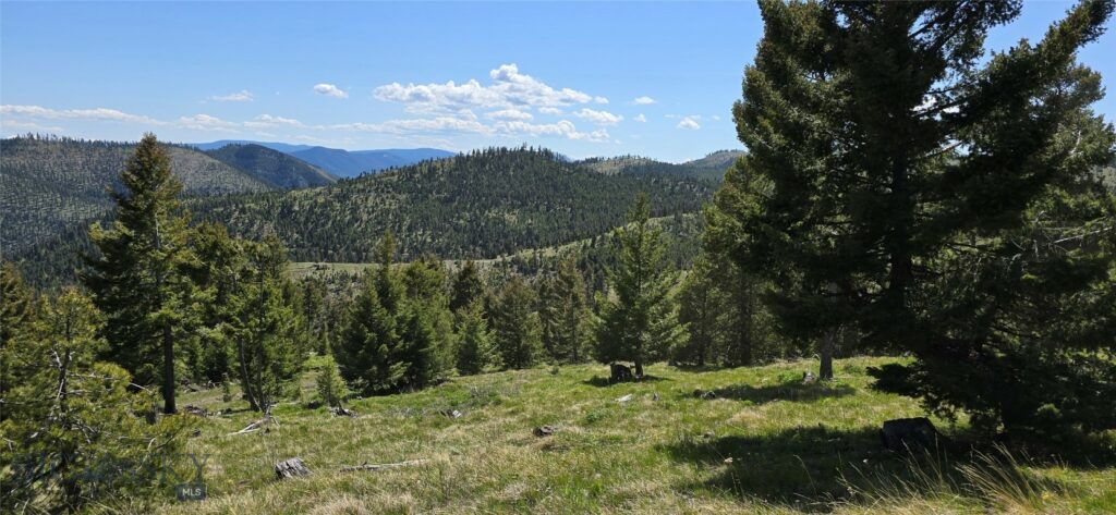 9 Tract, Garnet Range, Drummond MT 59832