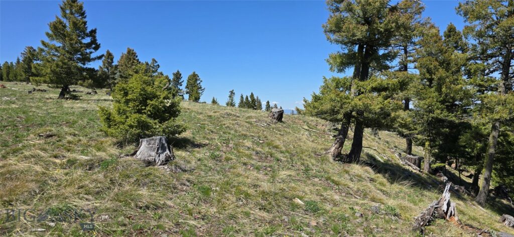 9 Tract, Garnet Range, Drummond MT 59832