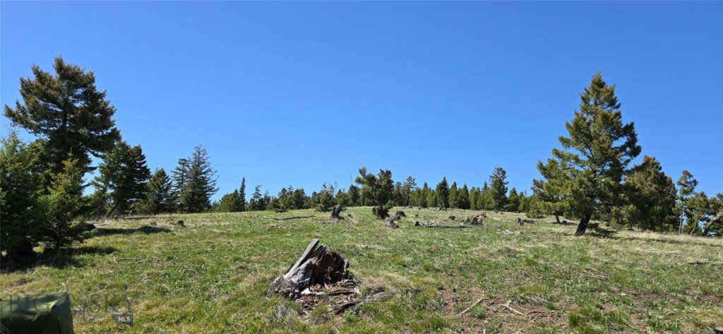 9 Tract, Garnet Range, Drummond MT 59832