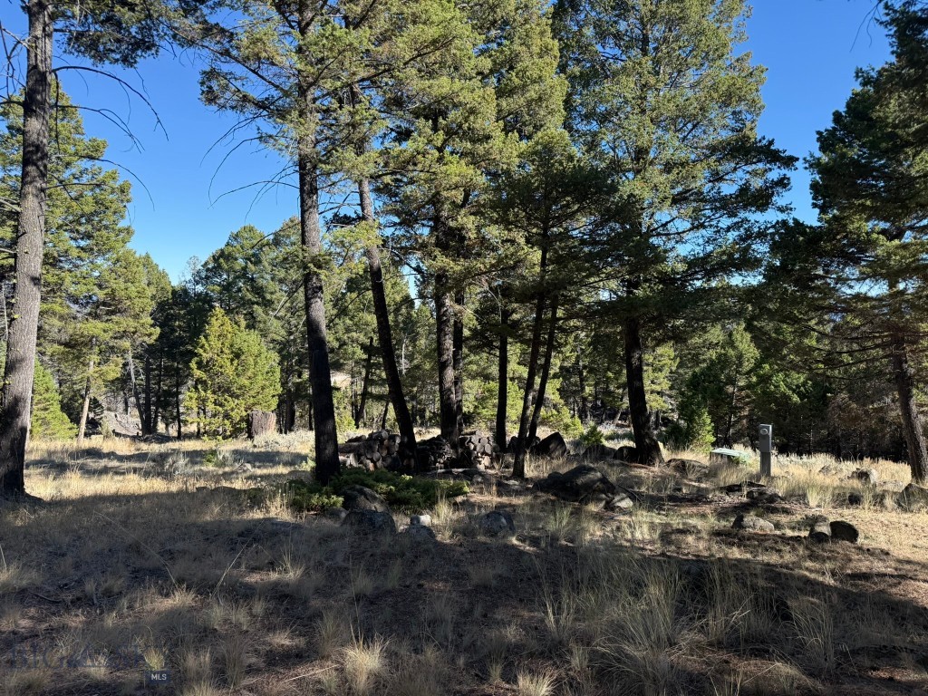 91 Upper Radar Creek Road, Whitehall MT 59759