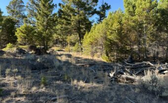 91 Upper Radar Creek Road, Whitehall MT 59759