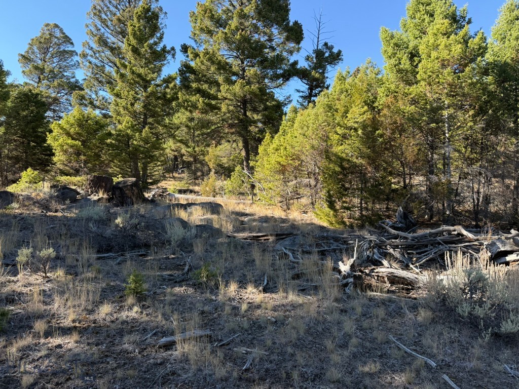 91 Upper Radar Creek Road, Whitehall MT 59759