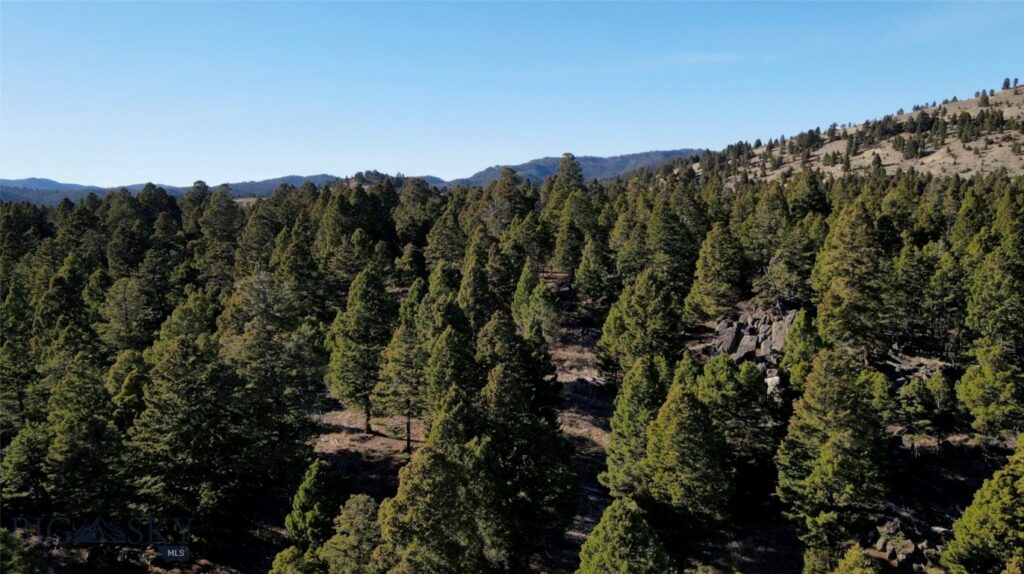 91 Upper Rader Creek Road, Whitehall MT 59759