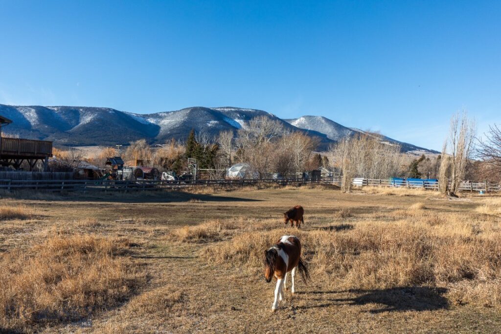 94 Willow Drive, Livingston MT 59047