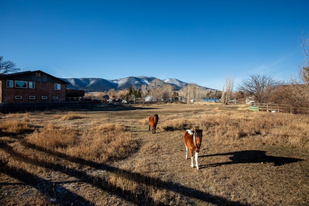 94 Willow Drive, Livingston MT 59047