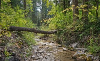 9440 Saddle Mountain, Bozeman MT 59715