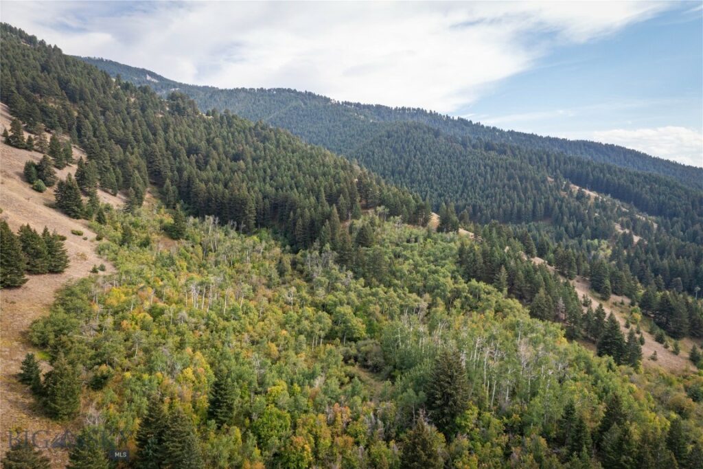 9440 Saddle Mountain, Bozeman MT 59715