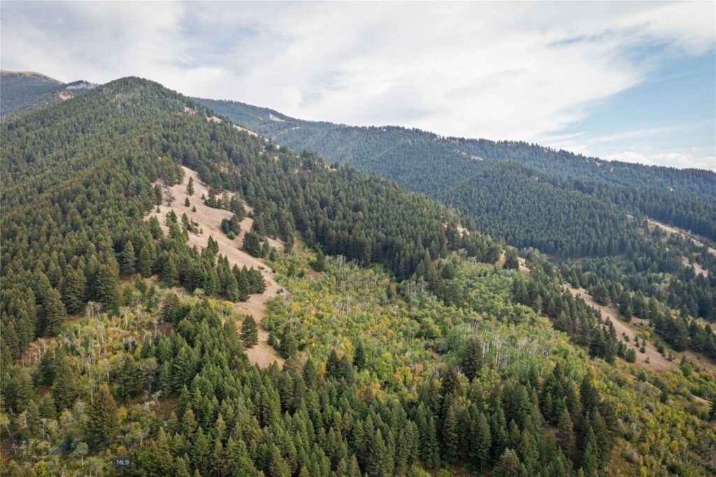 9440 Saddle Mountain Road, Bozeman MT 59715