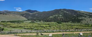 950 White Creek