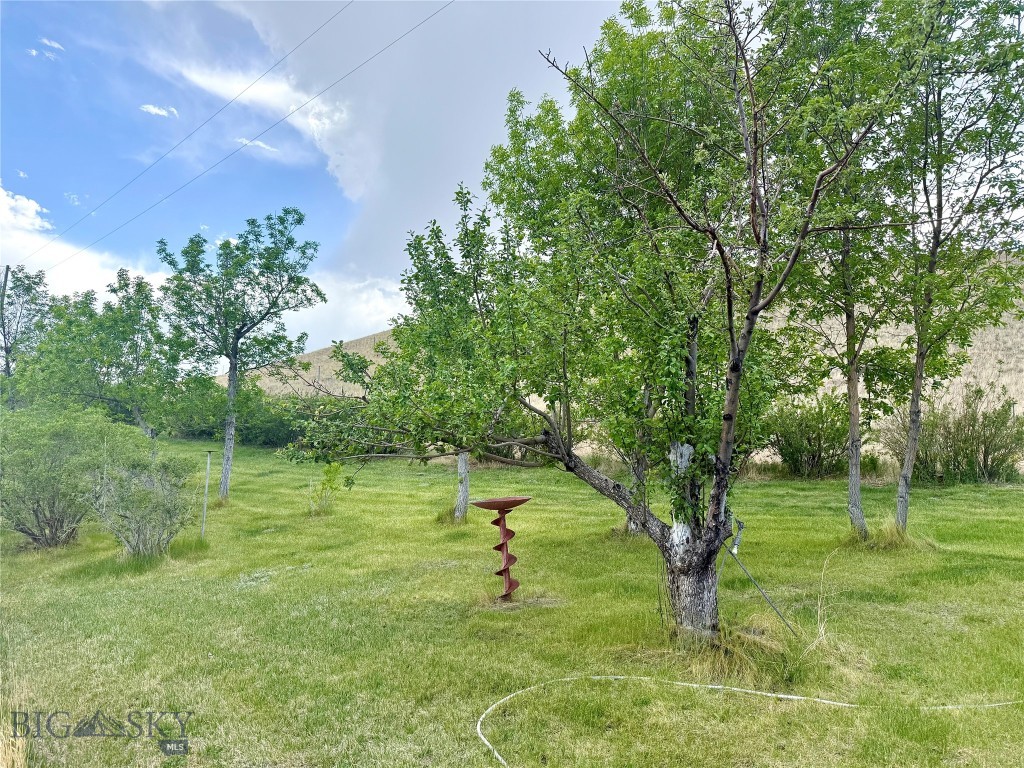 959 MT Hwy 55, Whitehall MT 59759