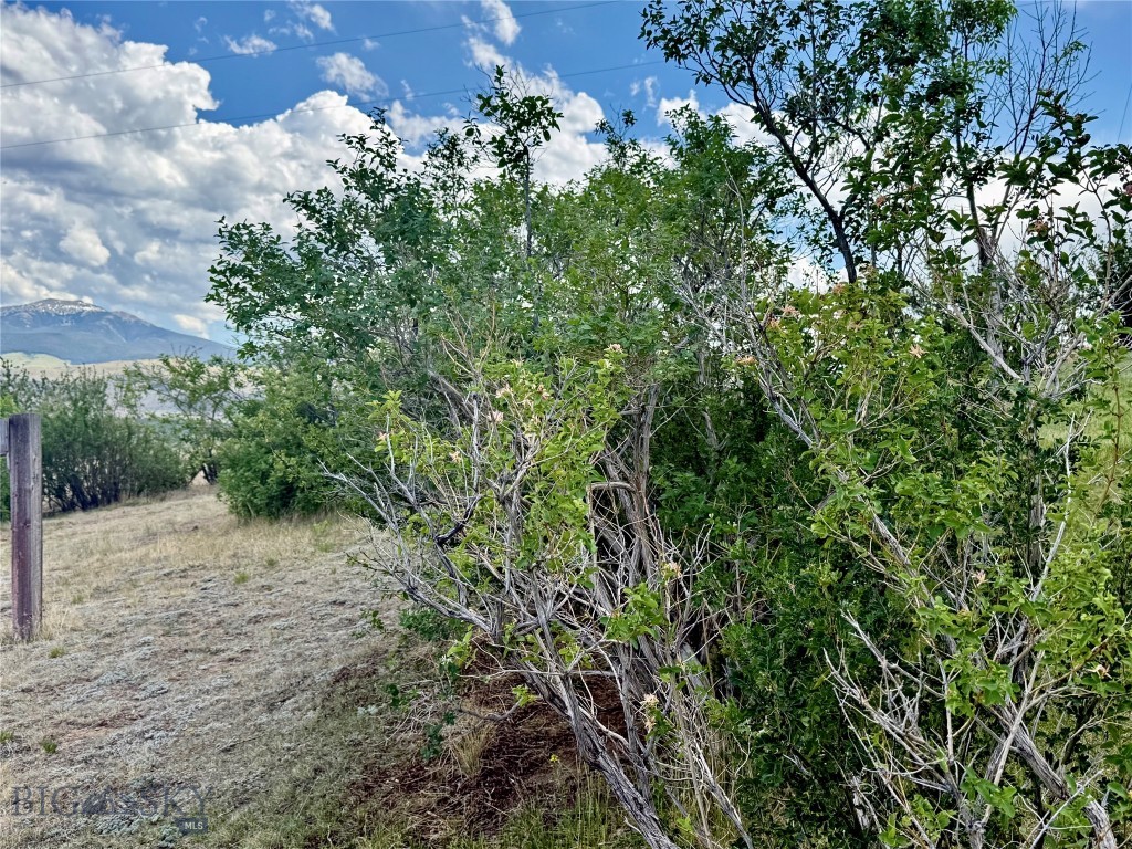 959 MT Hwy 55, Whitehall MT 59759