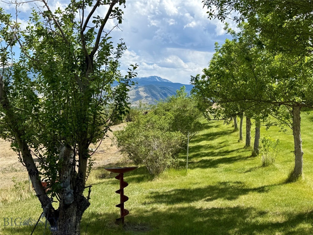 959 MT Hwy 55, Whitehall MT 59759