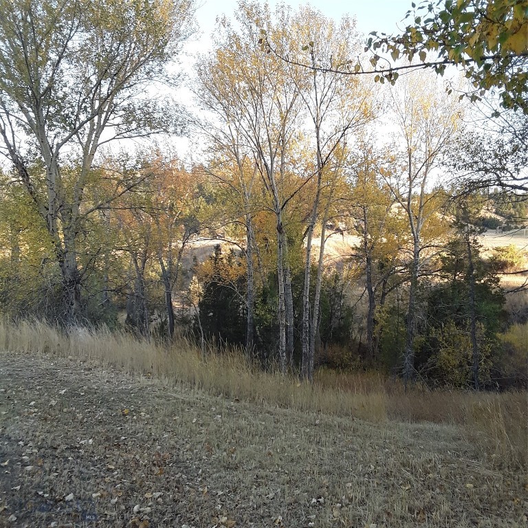 967 Mt Highway 2 W, Whitehall MT 59759