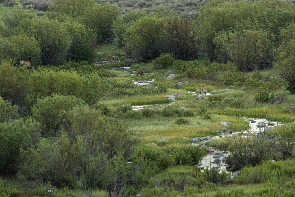 TBD Madison River Ranch, Cameron MT 59720