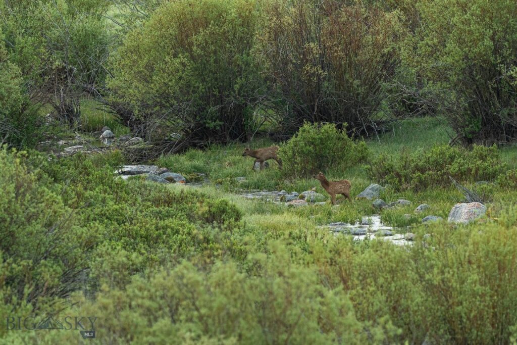 TBD Madison River Ranch, Cameron MT 59720