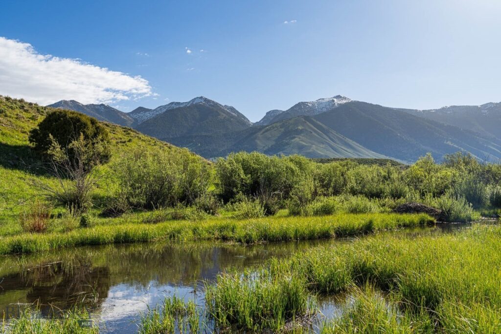 TBD Madison River Ranch, Cameron MT 59720