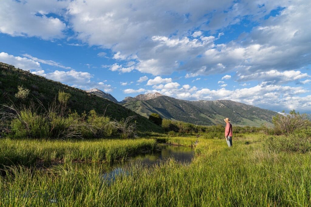 TBD Madison River Ranch, Cameron MT 59720