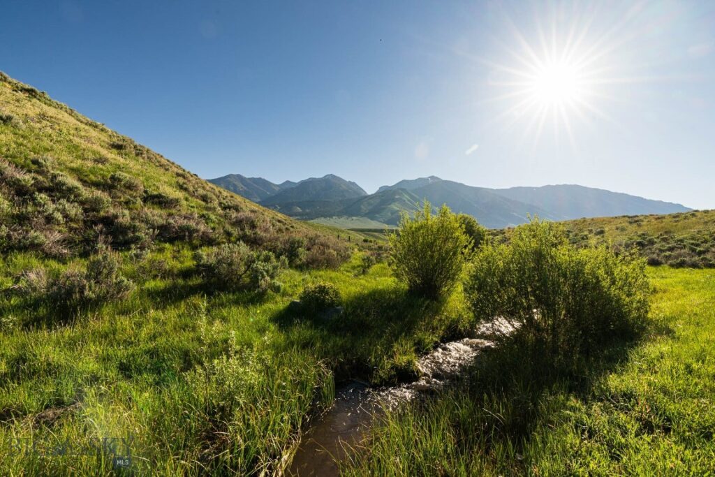 TBD Madison River Ranch, Cameron MT 59720
