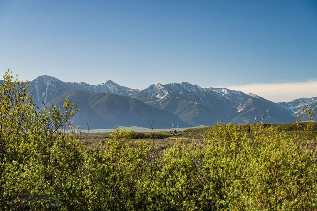 TBD Madison River Ranch, Cameron MT 59720
