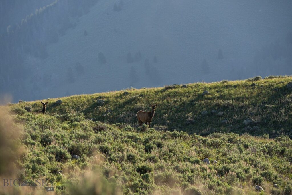 TBD Madison River Ranch, Cameron MT 59720