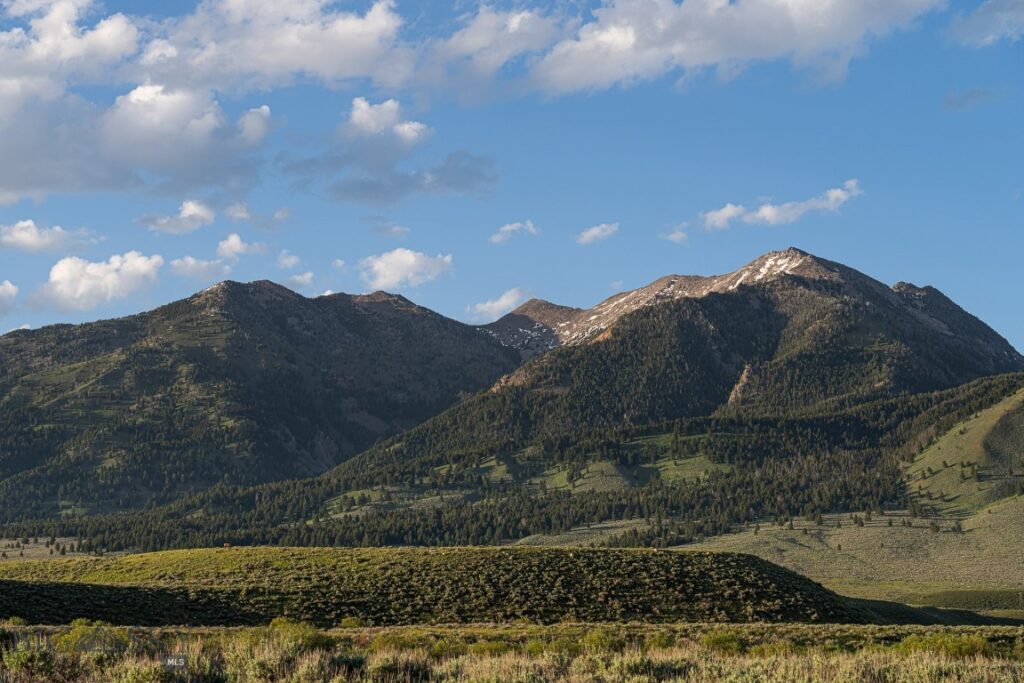 TBD Madison River Ranch, Cameron MT 59720