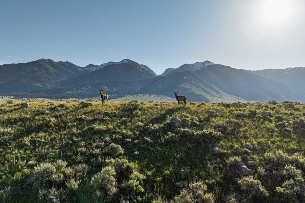 TBD Madison River Ranch, Cameron MT 59720