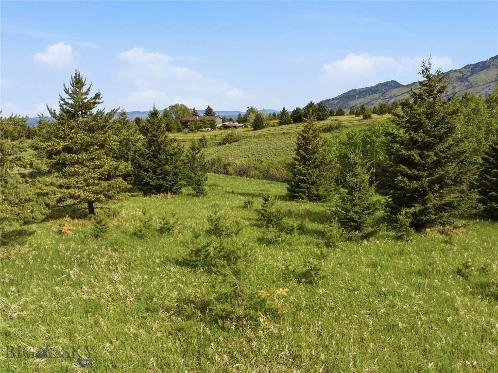 TBD E Panorama Drive, Bozeman MT 59715
