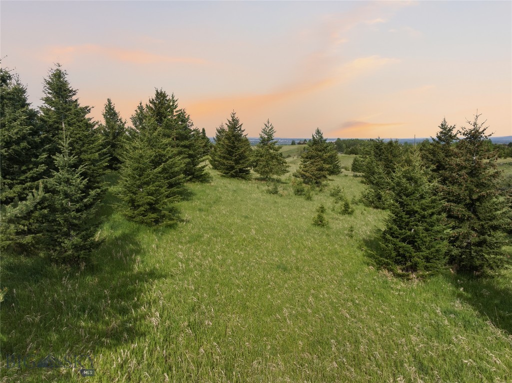 TBD E Panorama Drive, Bozeman MT 59715