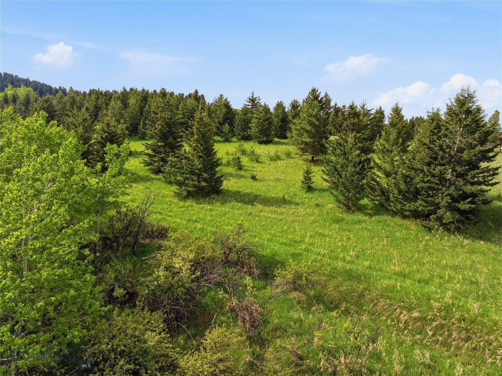 TBD E Panorama Drive, Bozeman MT 59715