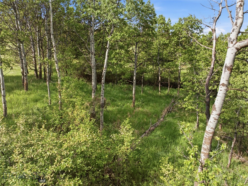 TBD E Panorama Drive, Bozeman MT 59715